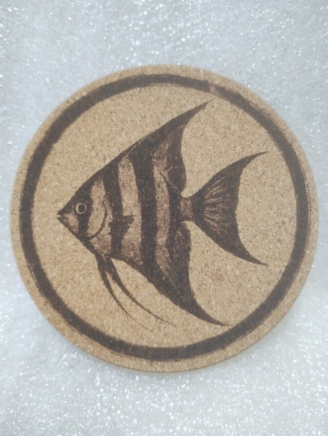 コースター　エンゼルフィッシュ