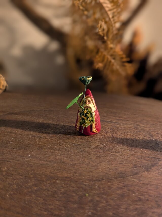 小さな小さなサンタクロース　62（ロータス）