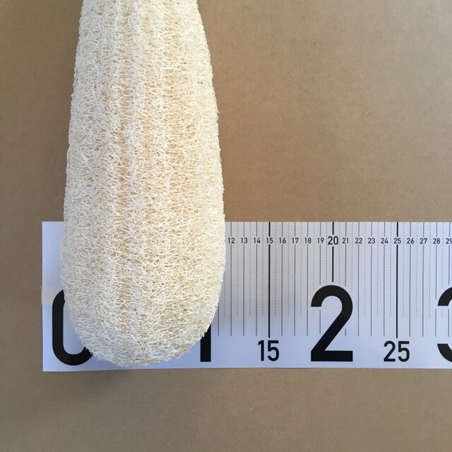 ヘチマです。 Costa Bimini Road 610 L (57-16) with Demo Lens lenses and Matte