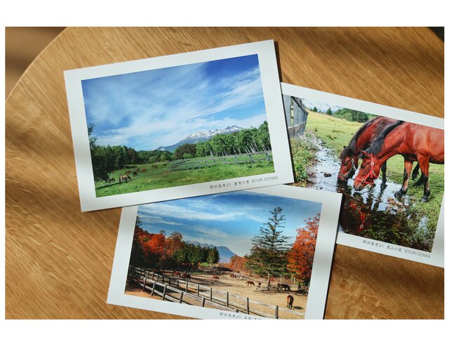 木曽馬ポストカード グリーンシーズンセット | iichi 日々の暮らしを