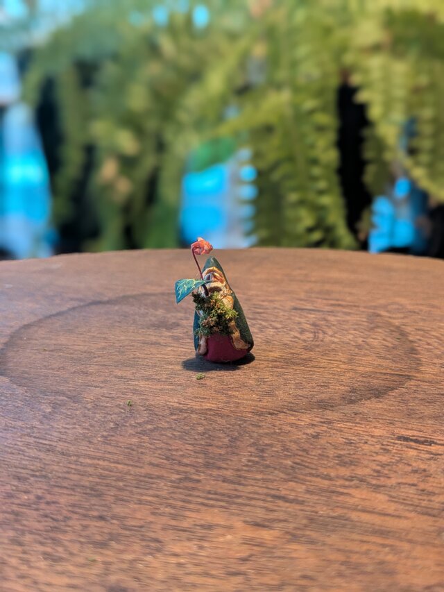 小さな小さなサンタクロース　72（原種シクラメン）