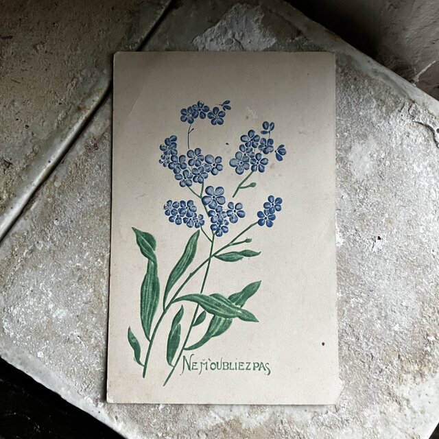 フランス　アンティーク　ポストカード　勿忘草