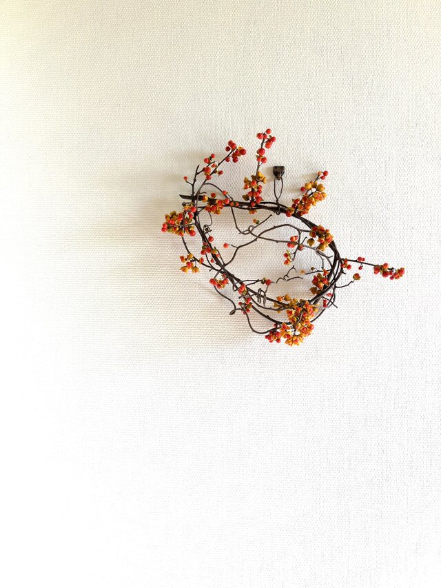 ツルウメモドキリースC ツルウメモドキリースC ツルウメモドキの枝リース | iichi 日々の