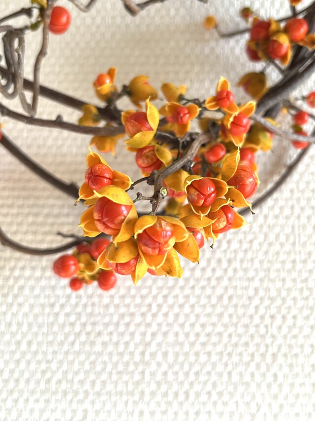 ツルウメモドキの枝リース | iichi 日々の暮らしを心地よくする