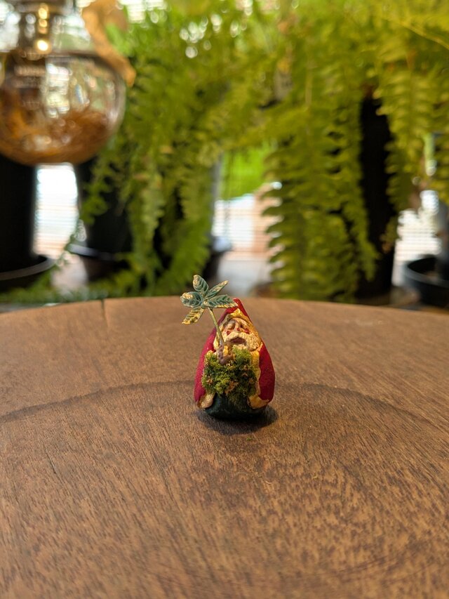 小さな小さなサンタクロース　84（パキラ）