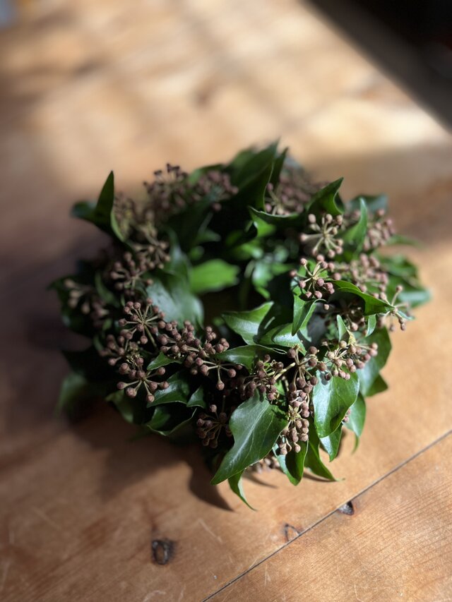 ♦受注制作♦ 冬蔦のリース