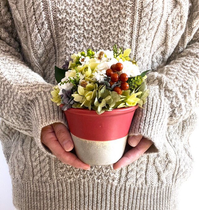 【 2025 Christmas 】　SS　リンゴンベリー