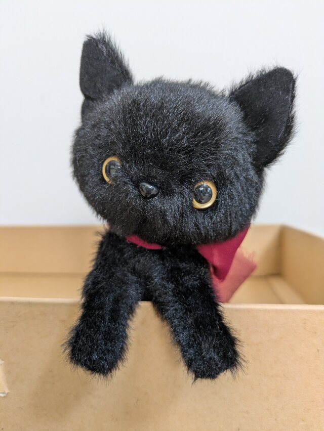 ぬいぐるみ☆やわふわな黒い子猫ちゃん☆