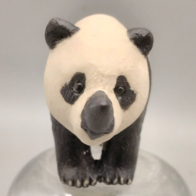 200gAs  サイパン