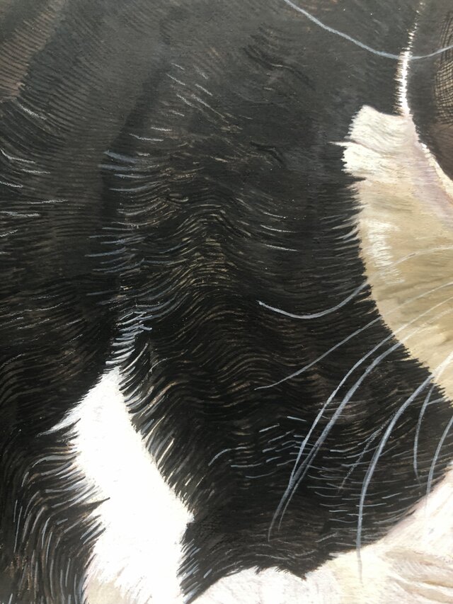 ハッチ」猫イラスト（原画） | iichi 日々の暮らしを心地よくする