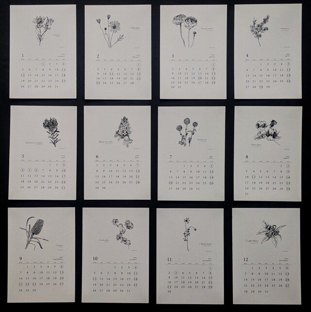 ２０２６寄添花  Ａ６カレンダー