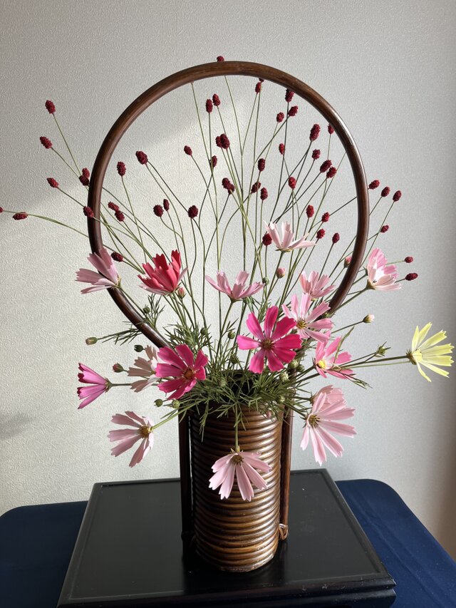 粘土の花　コスモス