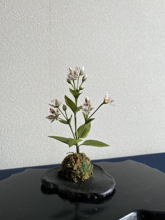 粘土の花アケボノソウ