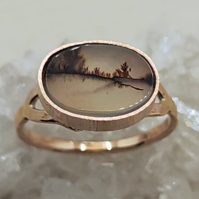 自然が撮ったセピア写真