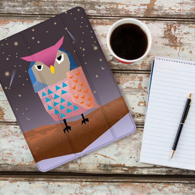 フクロウ　 iPadケース ペン収納 軽量 背面クリア あいぱっどけーす スタンド機能