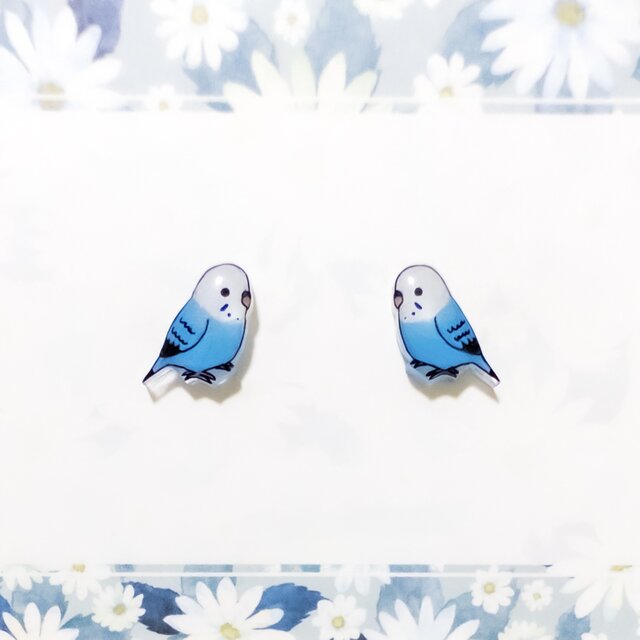 ～小さなピアスシリーズ～セキセイインコ(C)ピアス/ノンホールピアス(樹脂イヤリング)