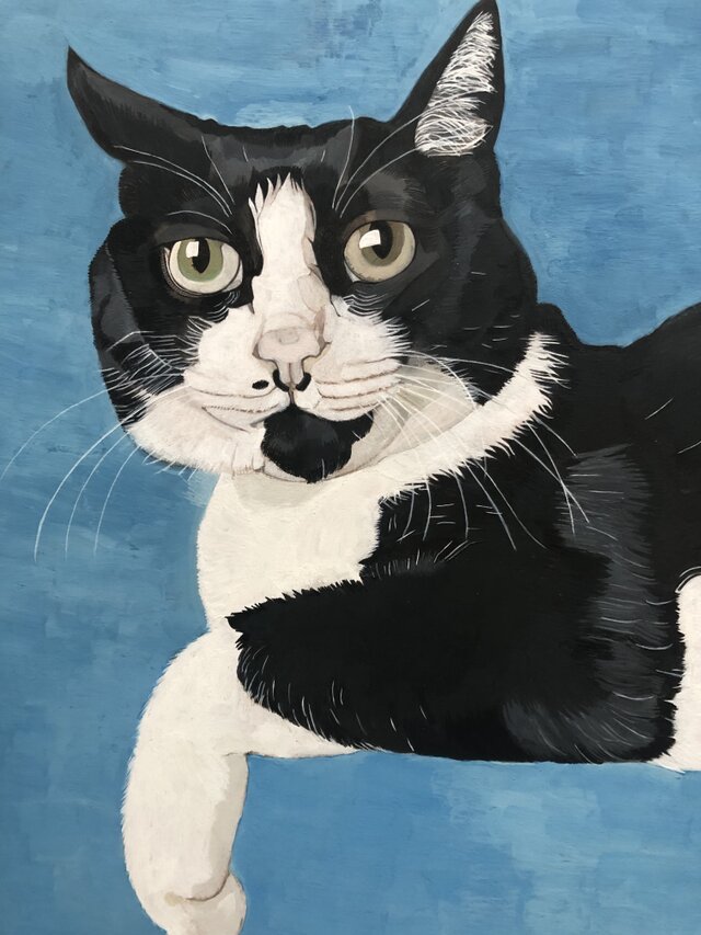 特別価格★【原画】『ウミウシに乗って』（風景画　空の絵　チワワ　黒猫　手描き） ウメ8」猫イラスト（原画） | iichi 日々の暮らしを心地よくする