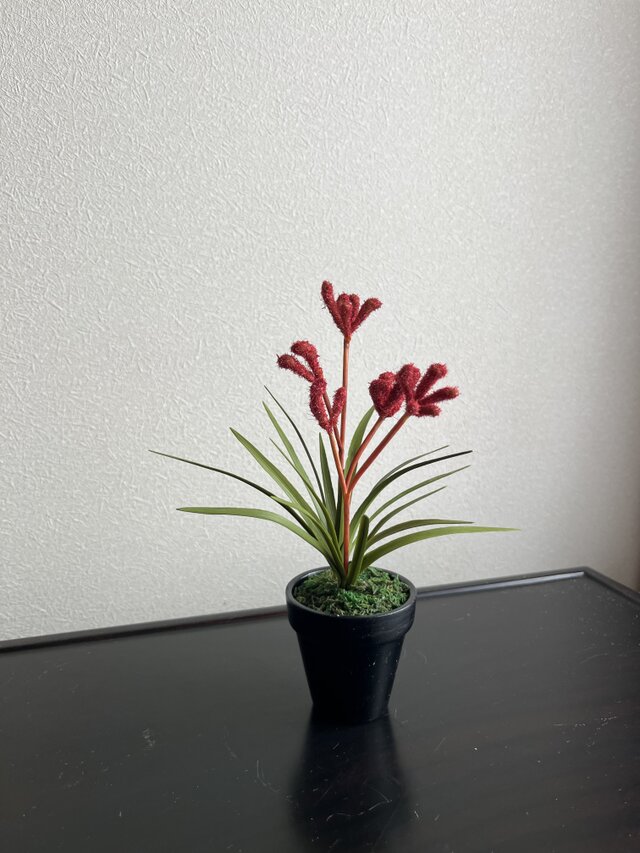 粘土の花カンガルーポー