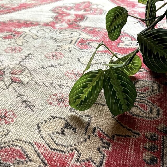 120×199 アヴァノスラグ コーラルレッド×ベージュ トルコヴィンテージ