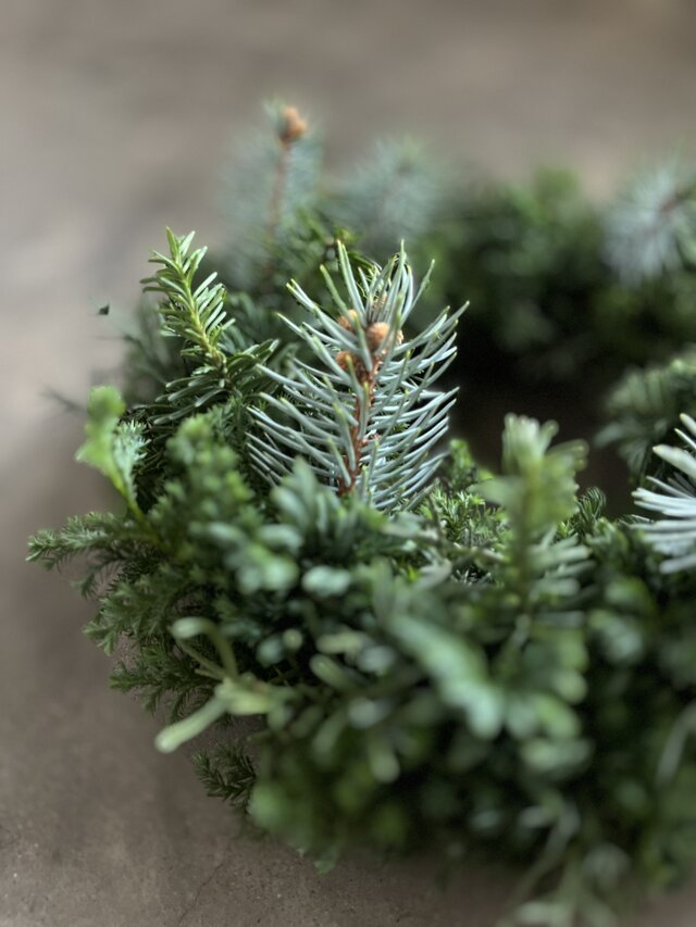 森のクリスマス Ⅶ ~銀青色モミとたっぷり針葉樹 | iichi 日々の暮らし