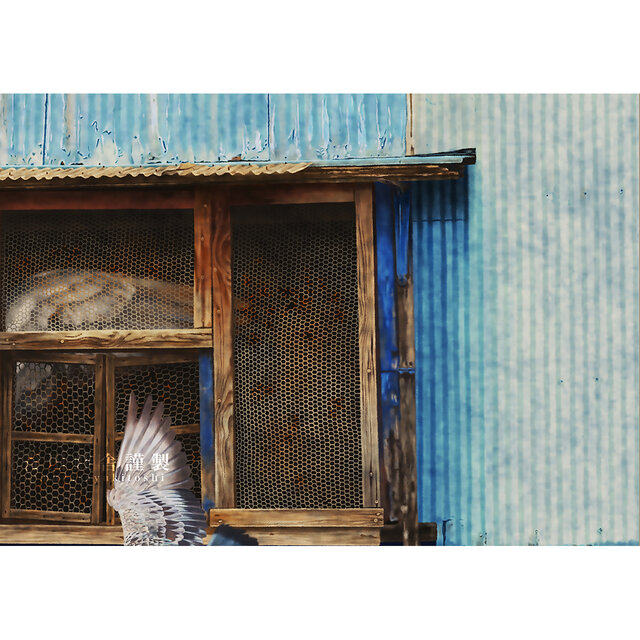 野良の天使 : ジクレー版画 ／ Stray Angel : Giclee Print | iichi