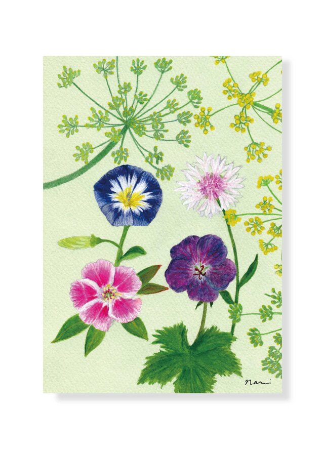 年賀状　2025年夏 イギリスにて（２枚組）