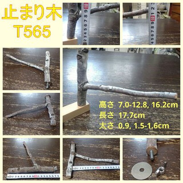 止まり木（枝：TOY-23-004) T565