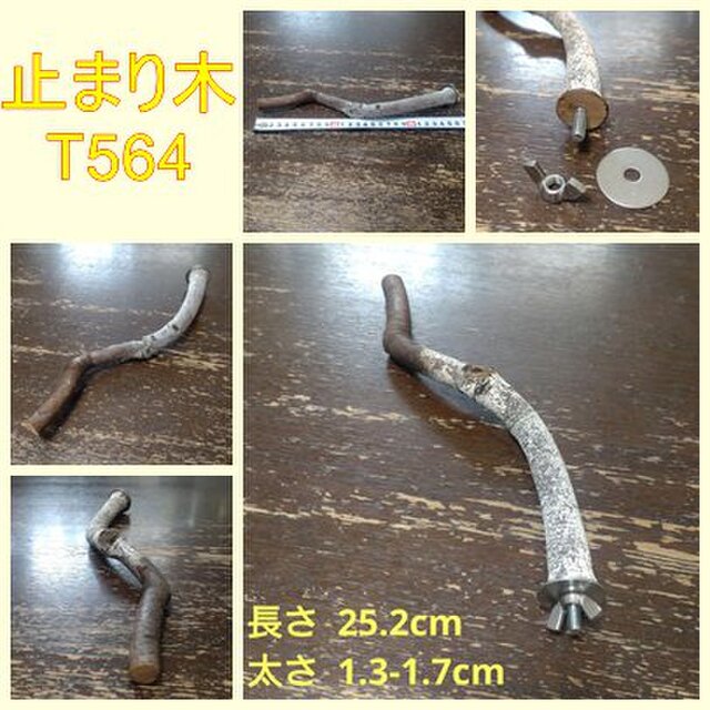 止まり木（枝：TOY-08-015）T564