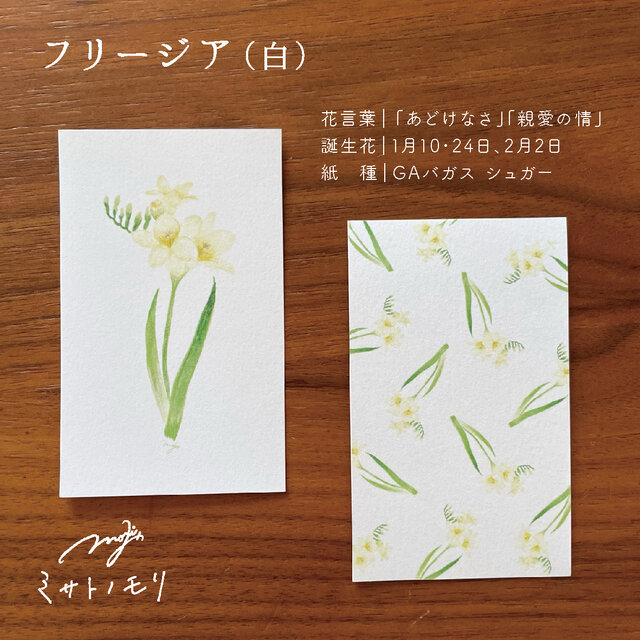 絵の花のミニカード｜名刺サイズのメッセージカード。しおりにも◎ 全9