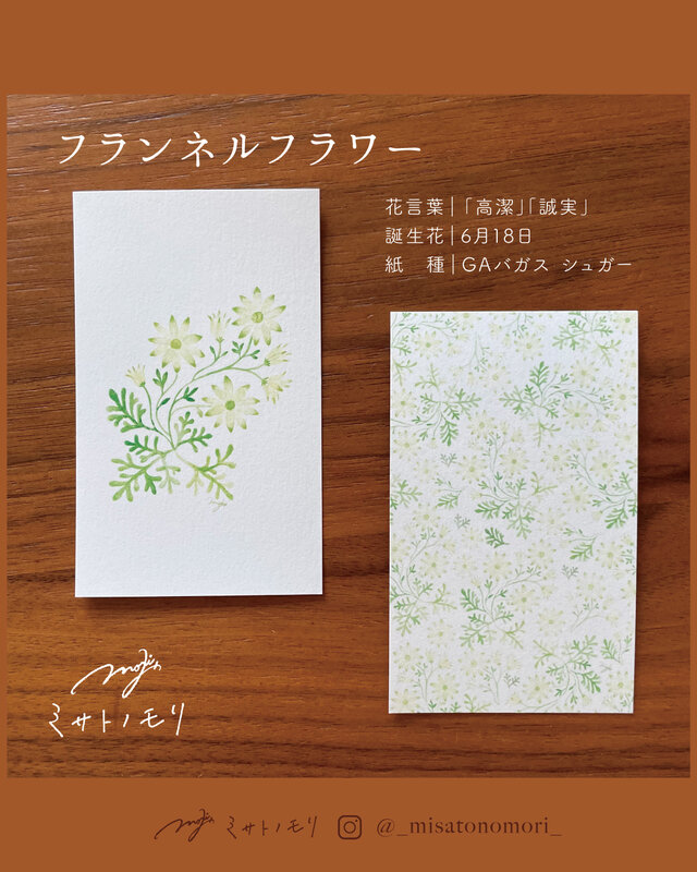 ﾐ ｻ ﾄ ﾉ ﾓ ﾘ｜絵の花のミニカード｜名刺サイズのメッセージカード