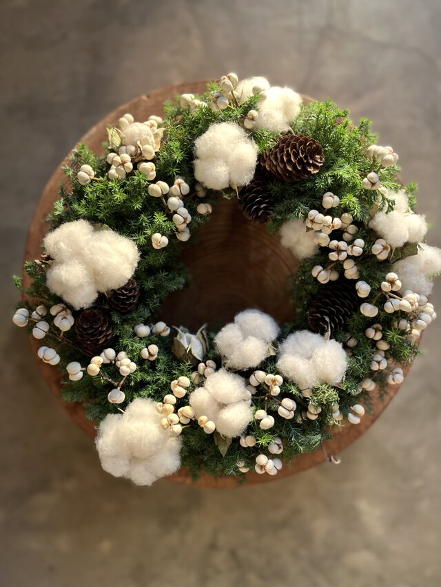 森のクリスマス Ⅷ  ~White 白綿とナンキンハゼ