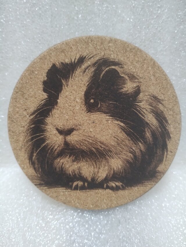 コースター　モルモット