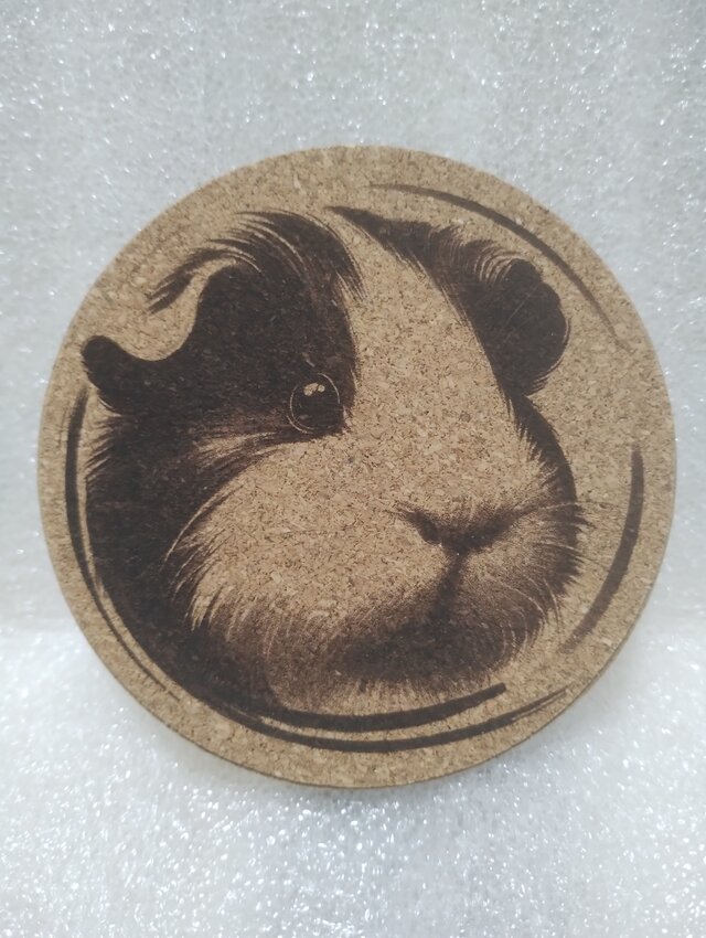 コースター　モルモット