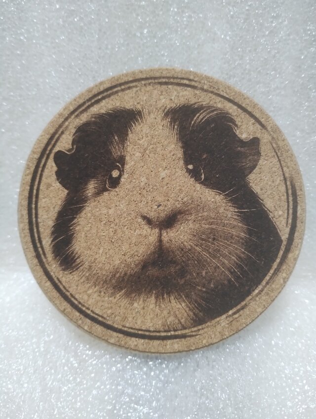 コースター　モルモット