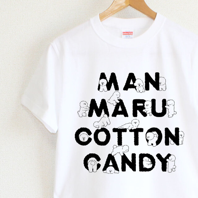 ビションフリーゼがいっぱい　メンズタイプ