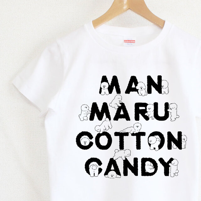 ビションフリーゼがいっぱい　レディースタイプ