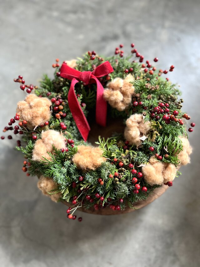 森のクリスマス Ⅷ  ~茶綿と野薔薇の赤い実