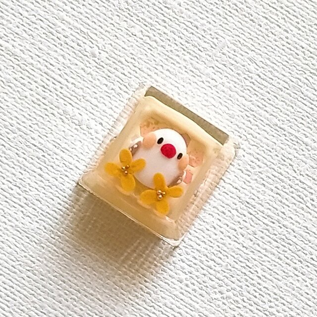 キンカチョウ（イザベル） キーキャップ メカニカルキーボード用（CHERRY MXスイッチ）※受注制作※