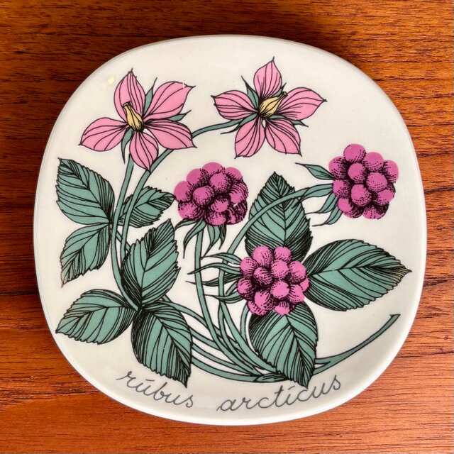 ARABIA Botanica Rubus arcticus アラビア ボタニカ チシマイチゴ