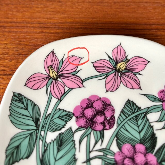 ARABIA Botanica Rubus arcticus アラビア ボタニカ チシマイチゴ