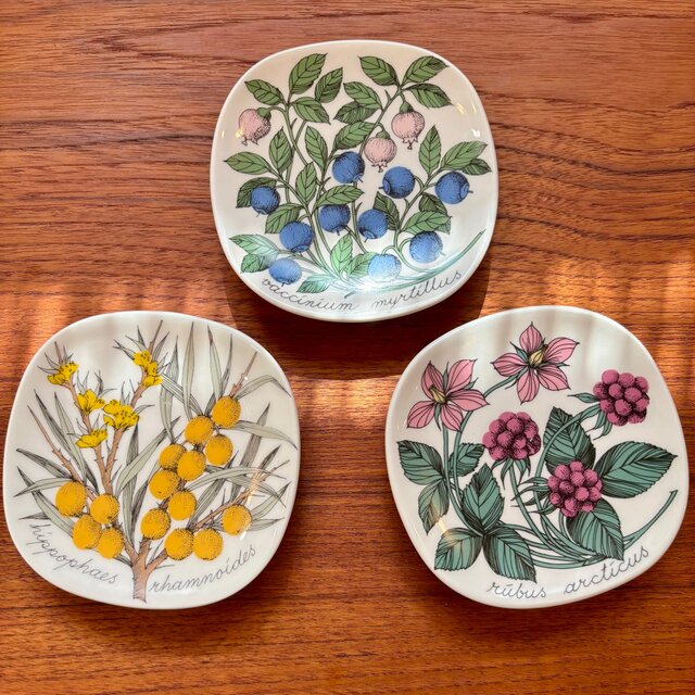 ARABIA Botanica Rubus arcticus アラビア ボタニカ チシマイチゴ