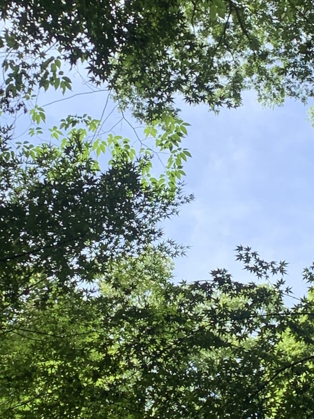 ＊Atelier solaのクーポンの使い方