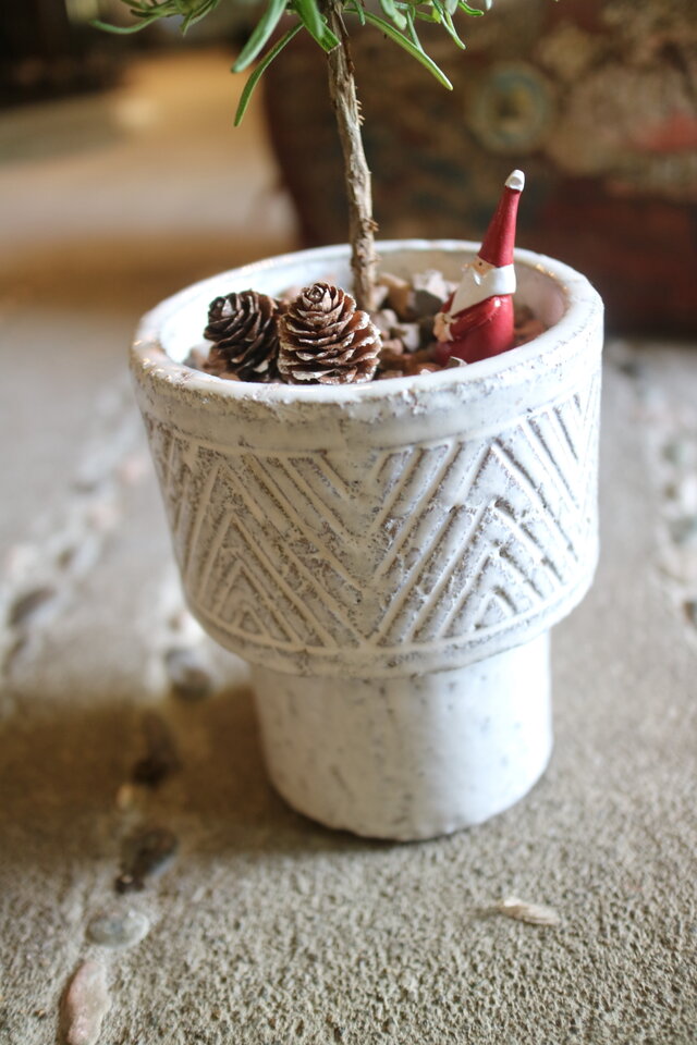 X'mas⭐️ローズマリー の まあるいミニクリスマスツリー ！ 鉢付