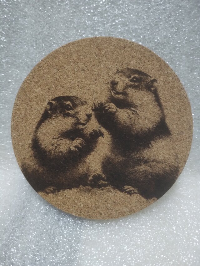 コースター　二匹のマーモット