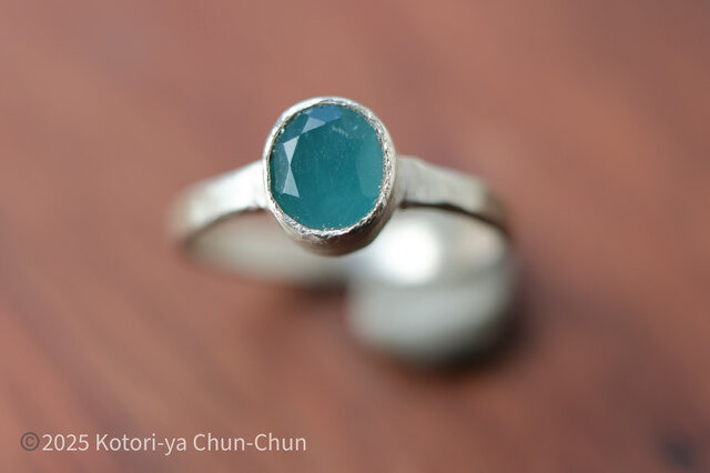 マダガスカルの至宝】特注カット ズィーシャンのグランディディエ