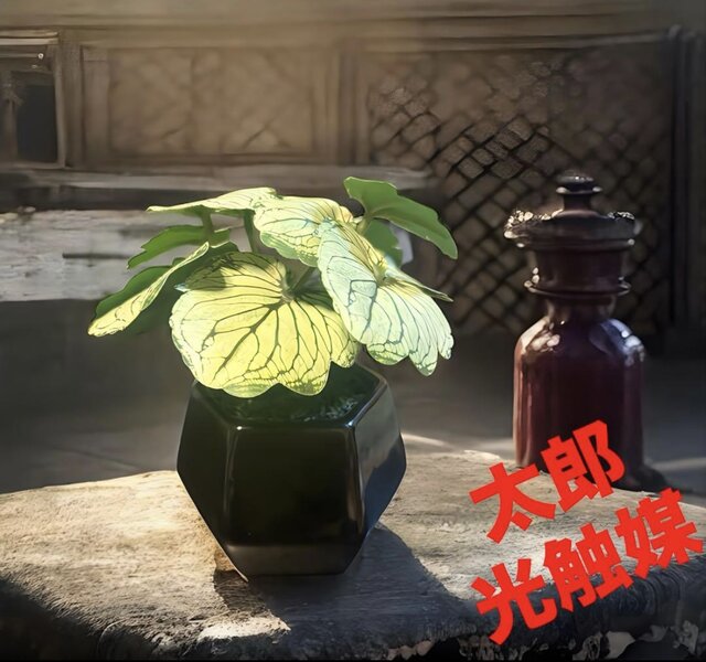 光触媒 人工観葉植物 ウォールグリーン フェイクグリーン モンステラ