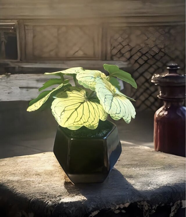 光触媒 人工観葉植物 ウォールグリーン フェイクグリーン モンステラ