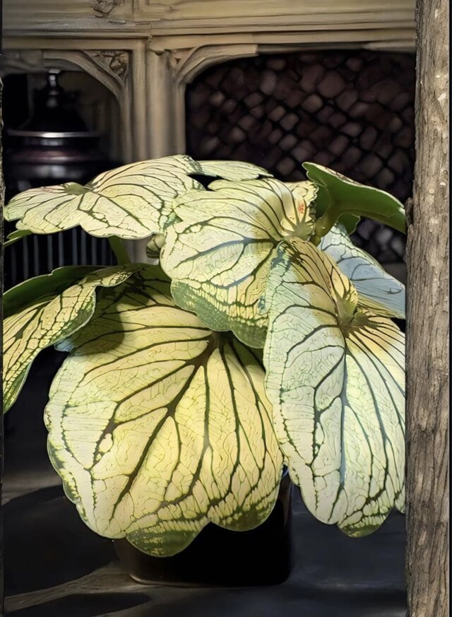 光触媒 人工観葉植物 ウォールグリーン フェイクグリーン モンステラ