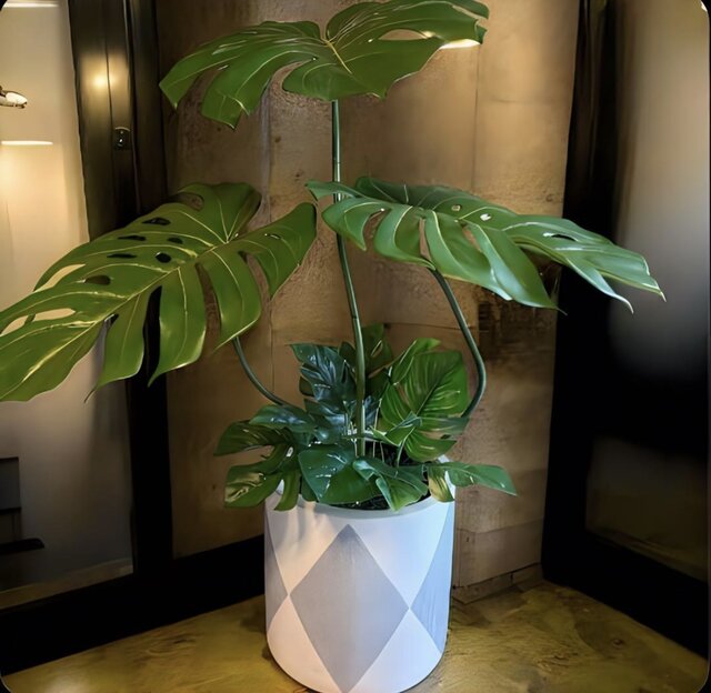 光触媒 人工観葉植物 ウォールグリーン フェイクグリーン バリ風特大