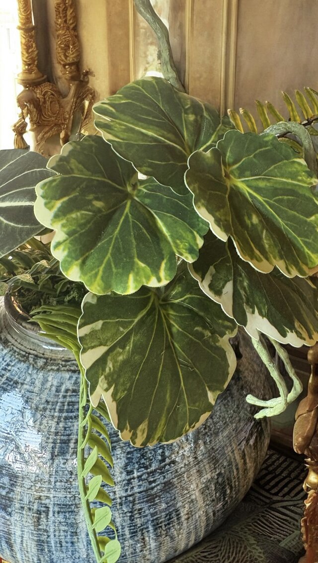 光触媒 人工観葉植物 フェイクグリーン モンステラバリエガータ